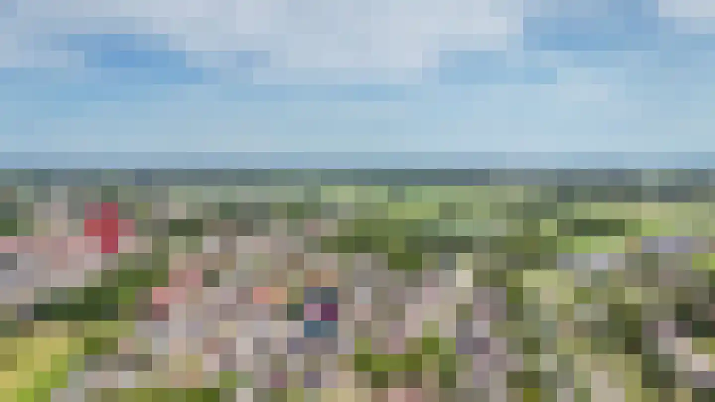 Meester Haafkensstraat 17 Lexmond thumbnail 39