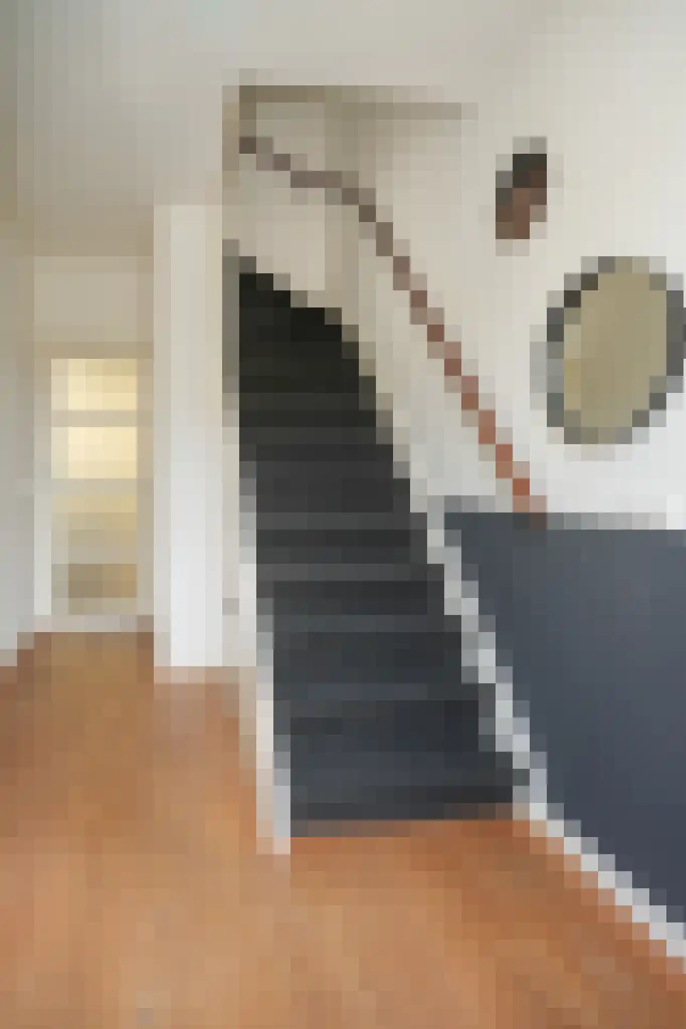 Meester Haafkensstraat 17 Lexmond thumbnail 8
