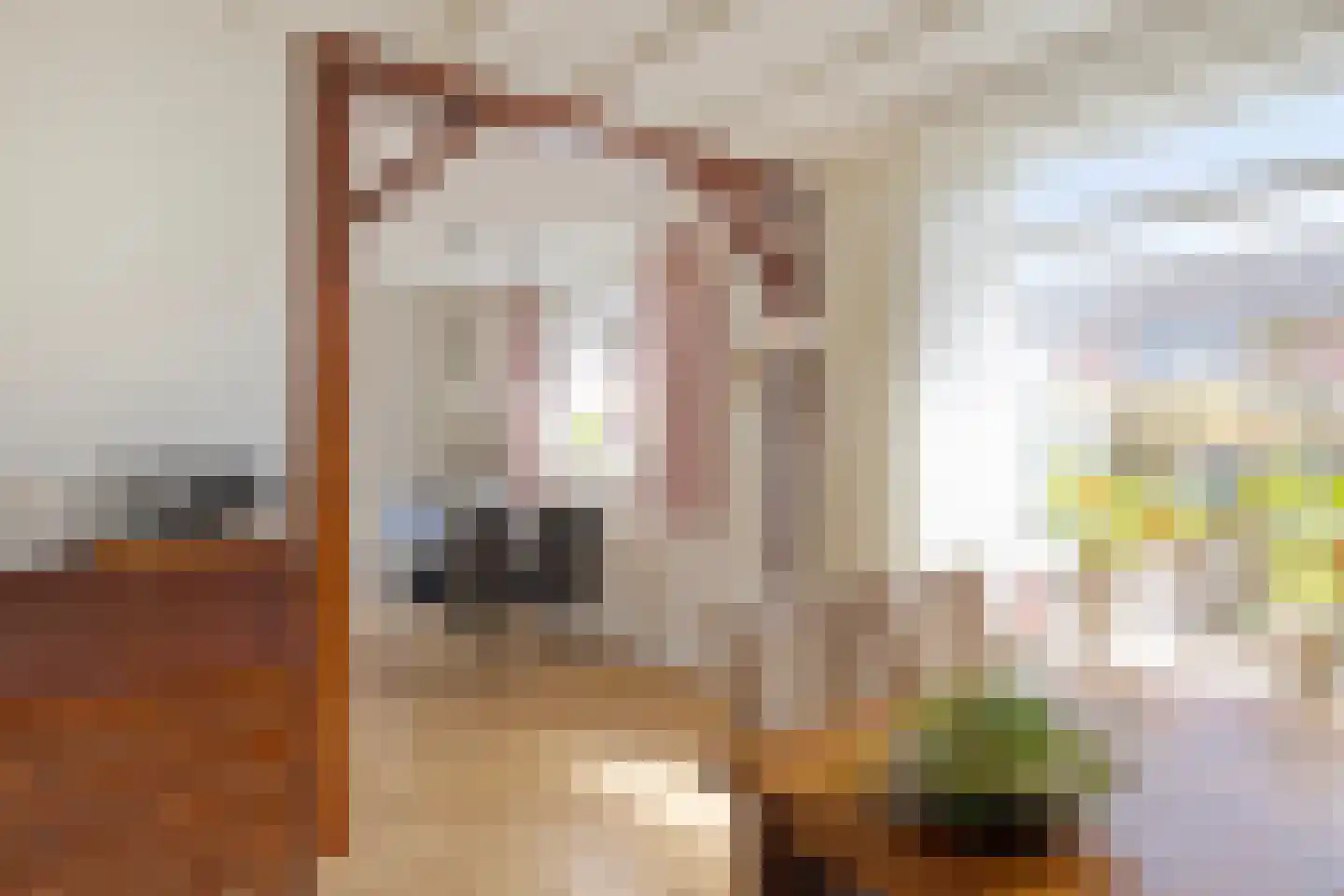 Meester Haarmanstraat 11 Zevenhuizen thumbnail 13