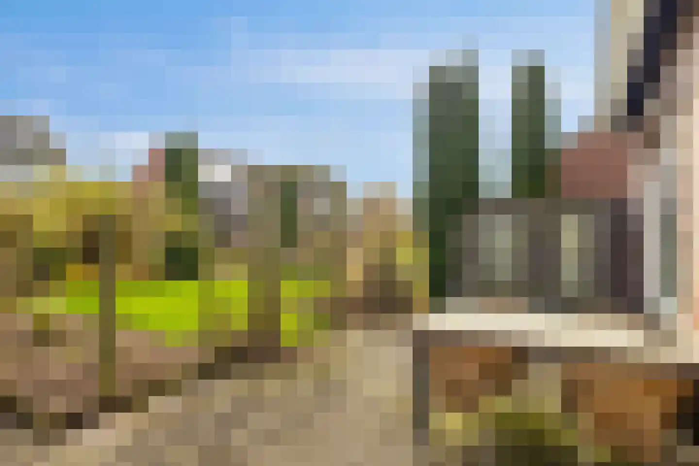 Meester Haarmanstraat 11 Zevenhuizen thumbnail 31