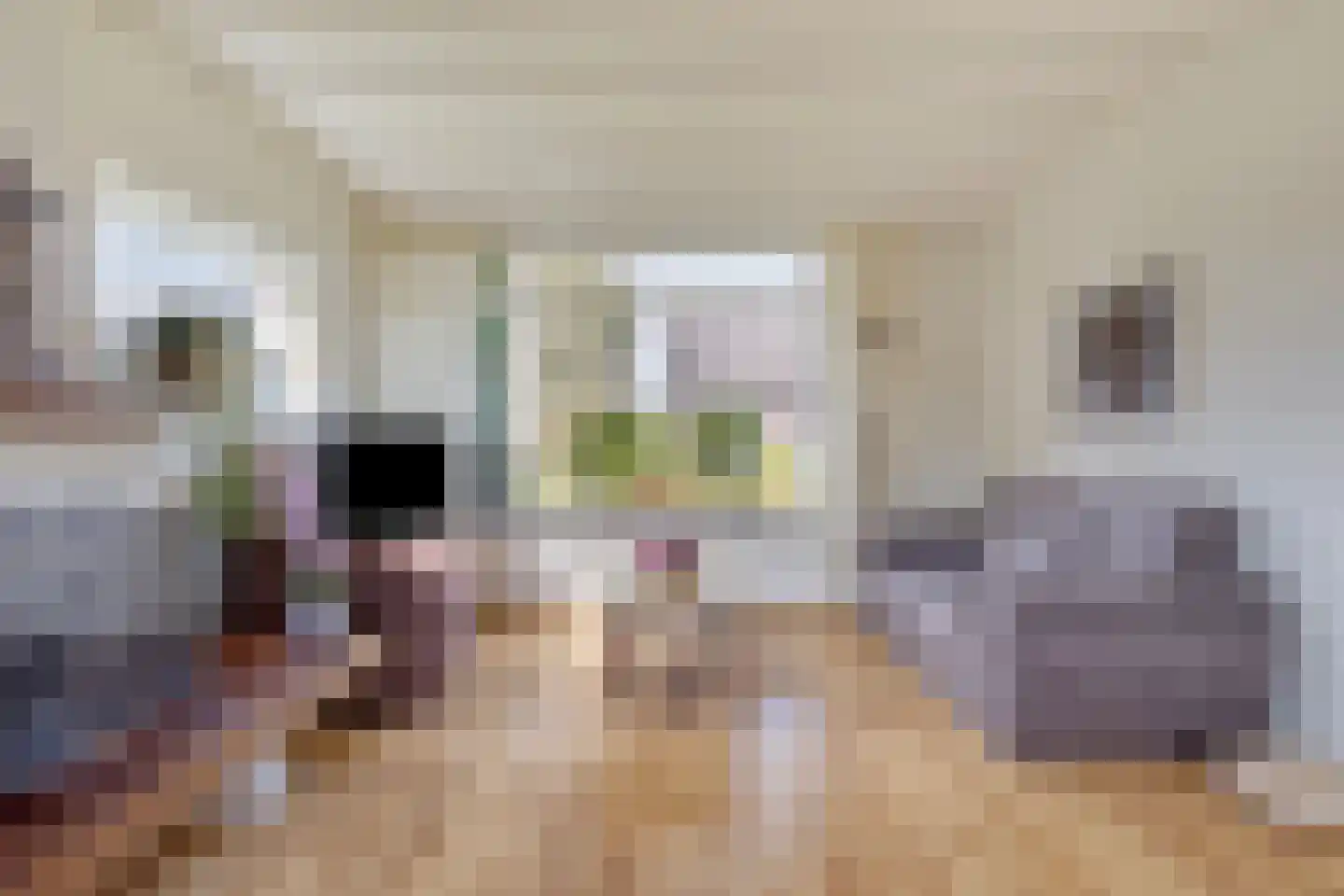 Meester Haarmanstraat 11 Zevenhuizen thumbnail 7