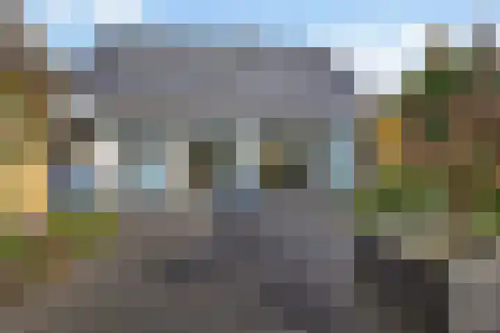 Meester Haarmanstraat 14 Zevenhuizen thumbnail 22