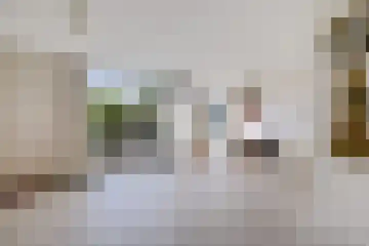Meester Haarmanstraat 14 Zevenhuizen thumbnail 5