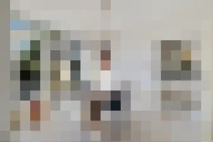 Meester Haarmanstraat 14 Zevenhuizen thumbnail 7