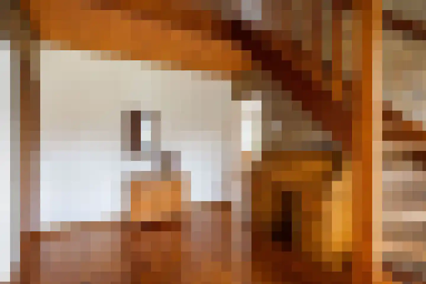 Meester Haarmanstraat 5 Zevenhuizen thumbnail 12