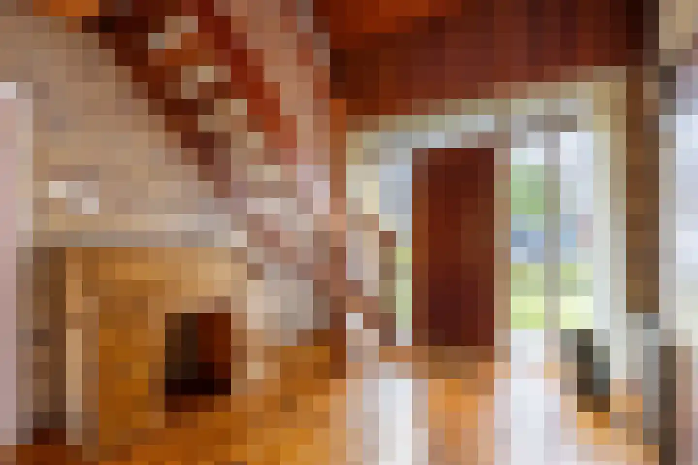 Meester Haarmanstraat 5 Zevenhuizen thumbnail 13
