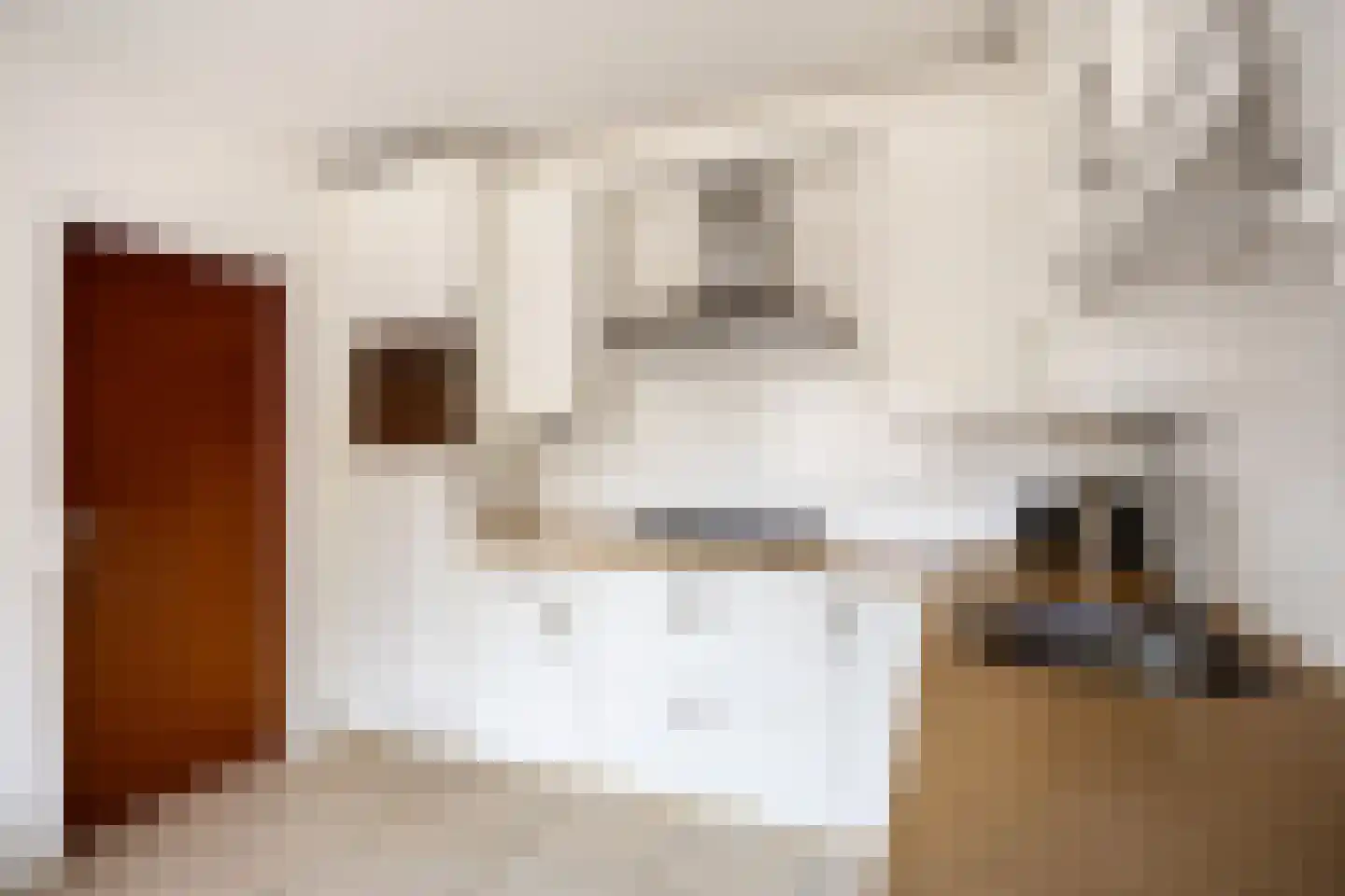 Meester Haarmanstraat 5 Zevenhuizen thumbnail 23