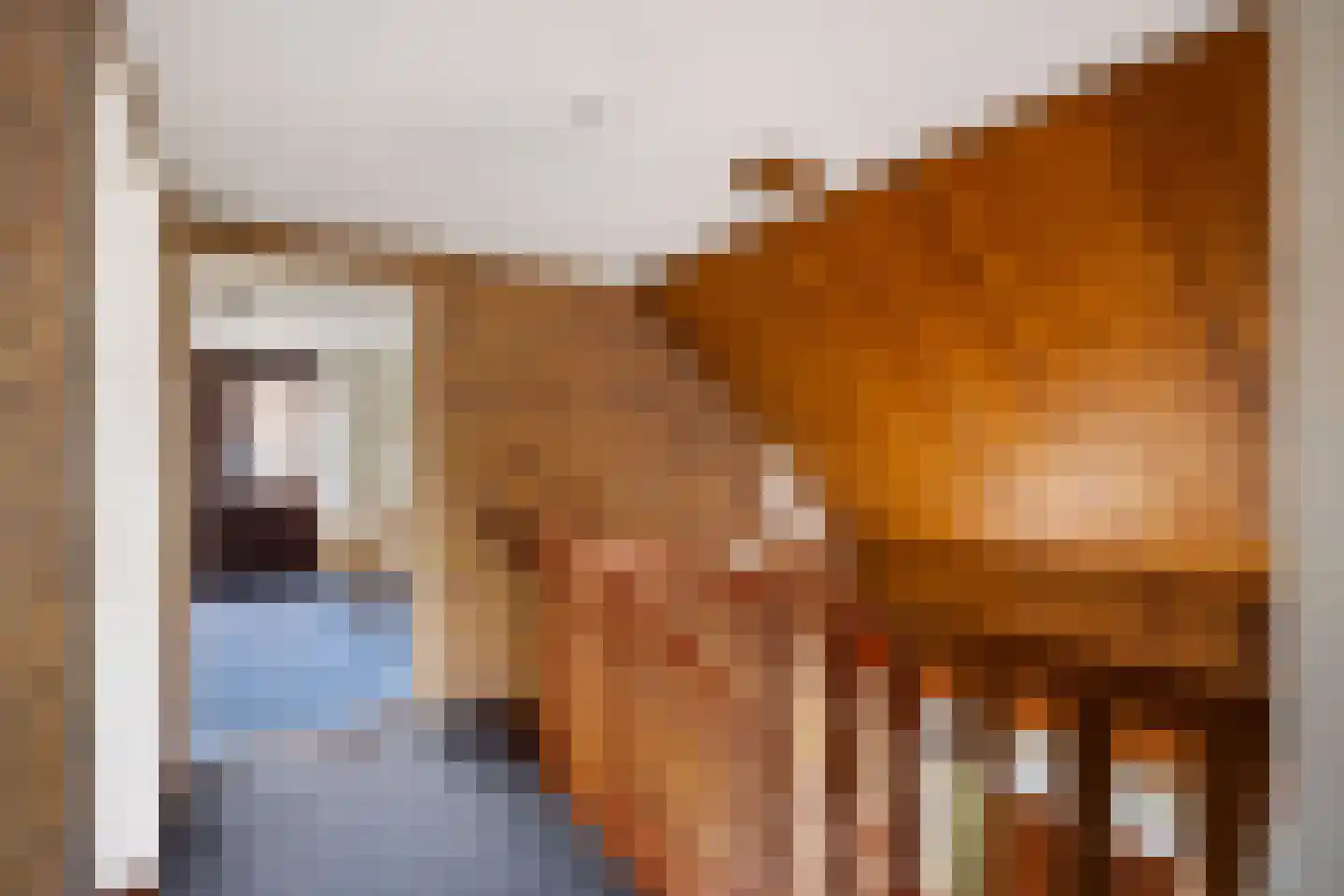 Meester Haarmanstraat 5 Zevenhuizen thumbnail 37