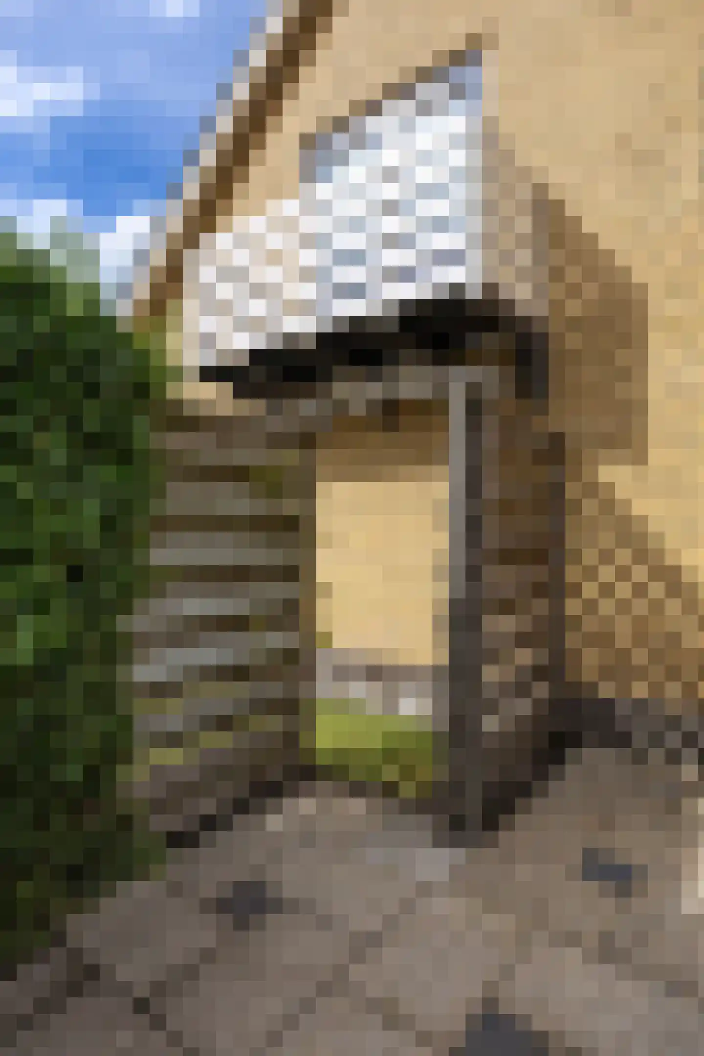 Meester Haarmanstraat 5 Zevenhuizen thumbnail 51