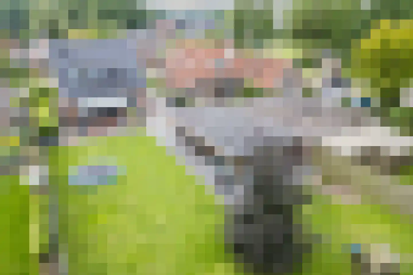 Meester Haddersstraat 3 Wijster thumbnail 57
