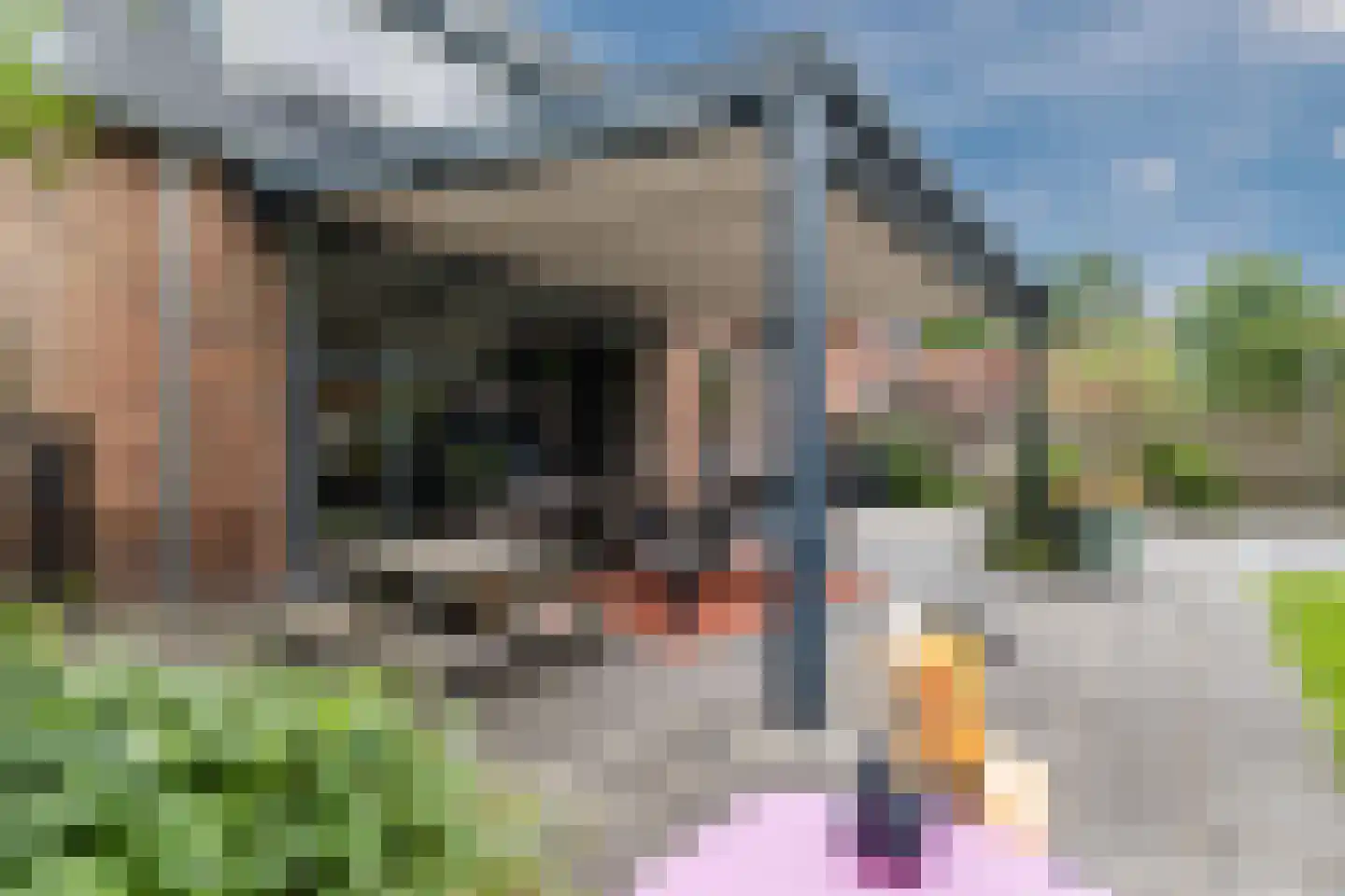 Meester Haddersstraat 3 Wijster thumbnail 6