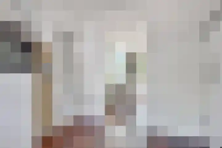 Meester Happensoenlaan 47 's-Hertogenbosch thumbnail 13