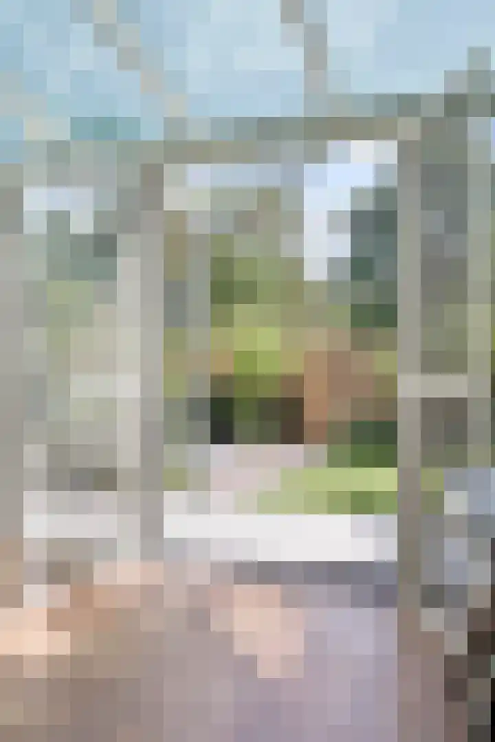 Meester Happensoenlaan 47 's-Hertogenbosch thumbnail 16