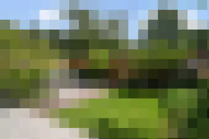 Meester Happensoenlaan 47 's-Hertogenbosch thumbnail 17