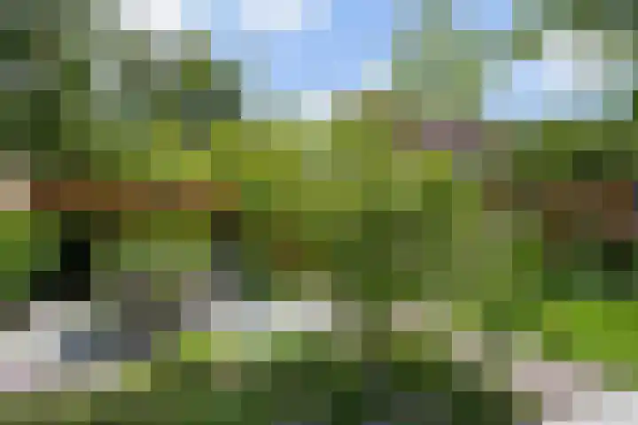 Meester Happensoenlaan 47 's-Hertogenbosch thumbnail 19