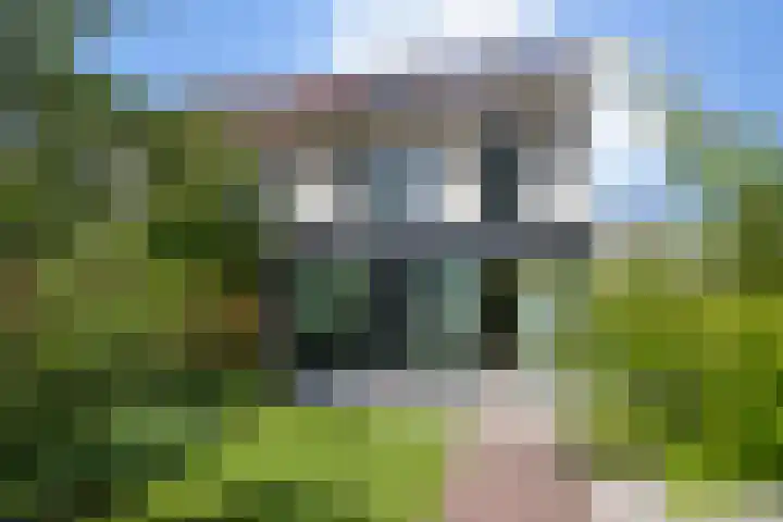Meester Happensoenlaan 47 's-Hertogenbosch thumbnail 21