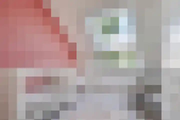 Meester Happensoenlaan 47 's-Hertogenbosch thumbnail 29