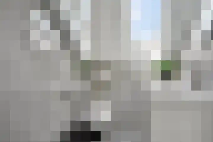 Meester Happensoenlaan 47 's-Hertogenbosch thumbnail 32