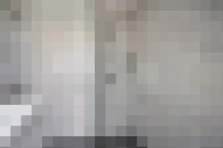 Meester Happensoenlaan 47 's-Hertogenbosch thumbnail 33