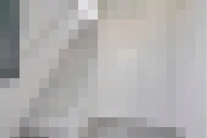 Meester Happensoenlaan 47 's-Hertogenbosch thumbnail 35