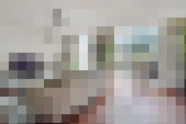Meester Happensoenlaan 47 's-Hertogenbosch thumbnail 4