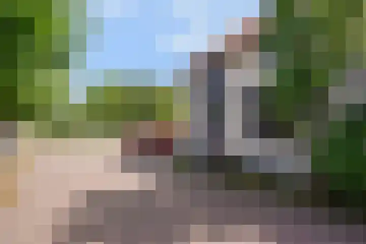 Meester Happensoenlaan 47 's-Hertogenbosch thumbnail 40