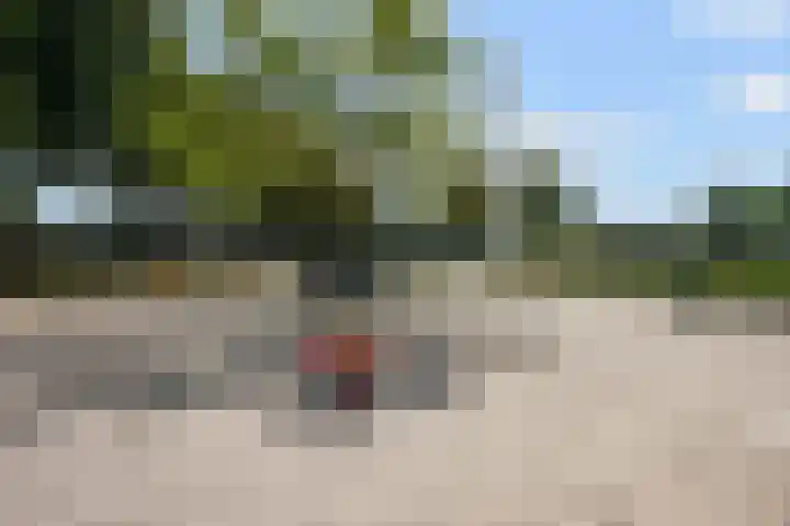Meester Happensoenlaan 47 's-Hertogenbosch thumbnail 42