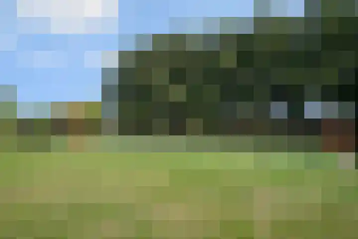 Meester Happensoenlaan 47 's-Hertogenbosch thumbnail 43