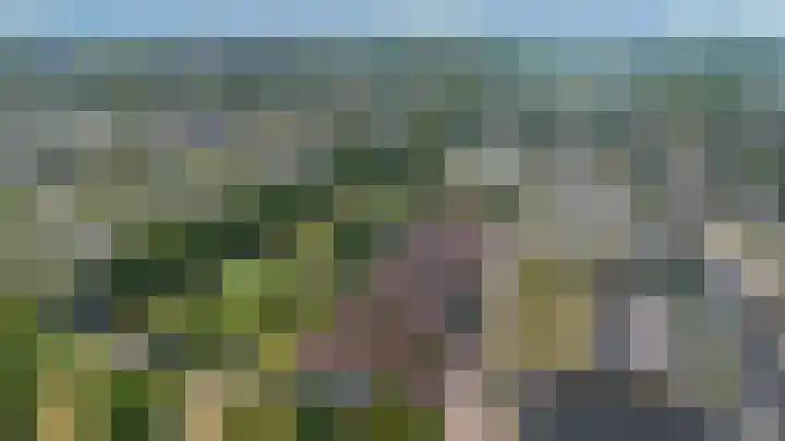 Meester Happensoenlaan 47 's-Hertogenbosch thumbnail 45