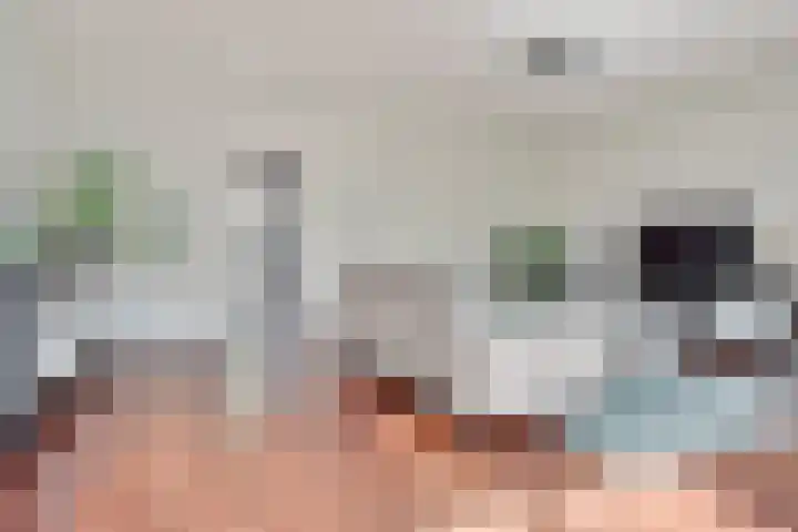 Meester Happensoenlaan 47 's-Hertogenbosch thumbnail 5