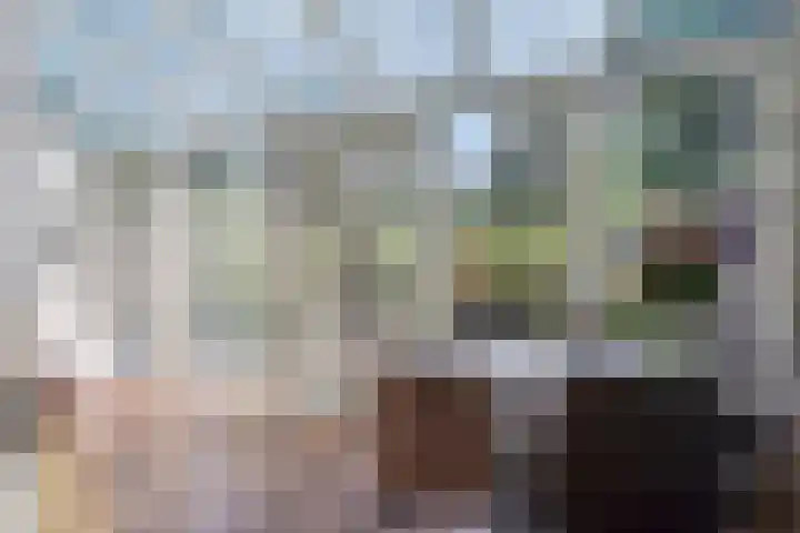 Meester Happensoenlaan 47 's-Hertogenbosch thumbnail 7