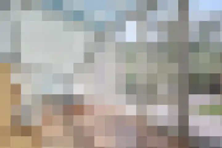 Meester Happensoenlaan 47 's-Hertogenbosch thumbnail 8