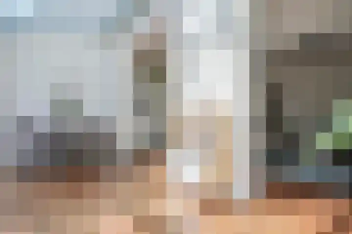 Meester Happensoenlaan 47 's-Hertogenbosch thumbnail 9