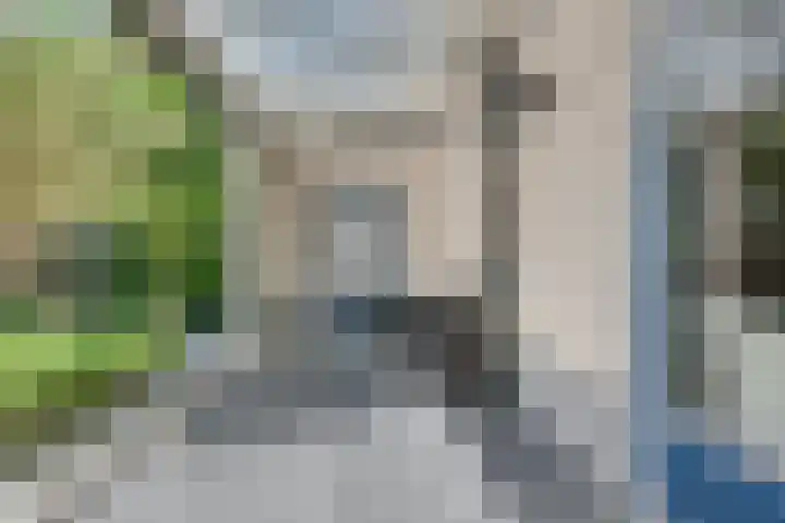 Meester Happensoenlaan 9 's-Hertogenbosch thumbnail 12