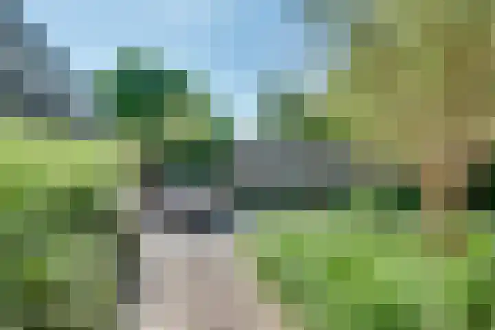 Meester Happensoenlaan 9 's-Hertogenbosch thumbnail 24