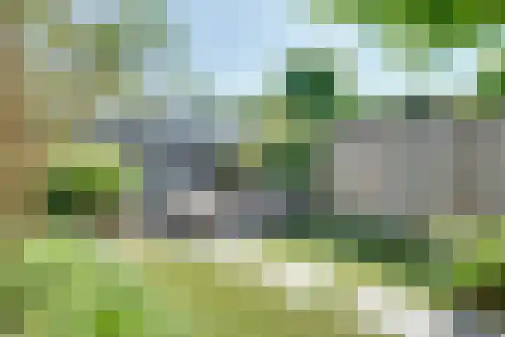 Meester Happensoenlaan 9 's-Hertogenbosch thumbnail 25