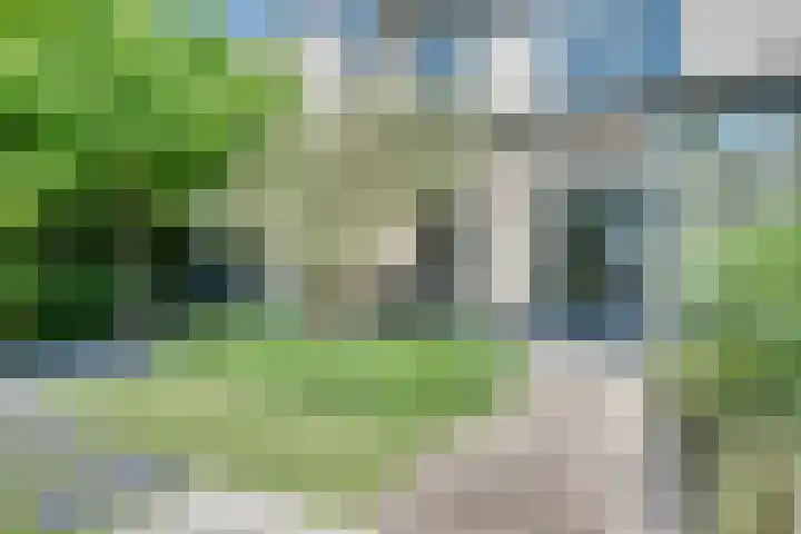 Meester Happensoenlaan 9 's-Hertogenbosch thumbnail 27