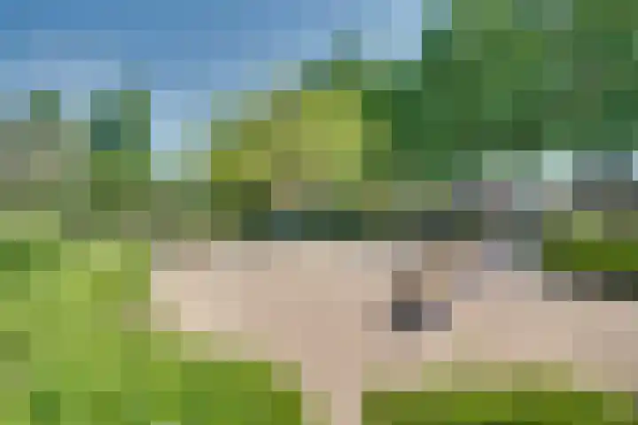 Meester Happensoenlaan 9 's-Hertogenbosch thumbnail 29