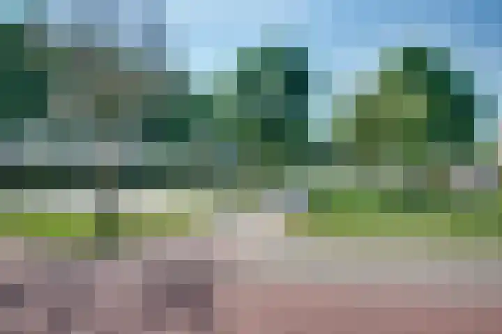 Meester Happensoenlaan 9 's-Hertogenbosch thumbnail 30