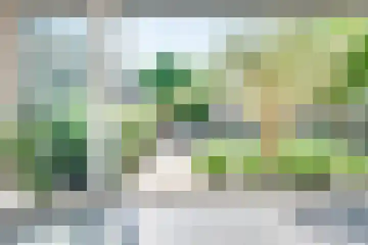 Meester Happensoenlaan 9 's-Hertogenbosch thumbnail 7