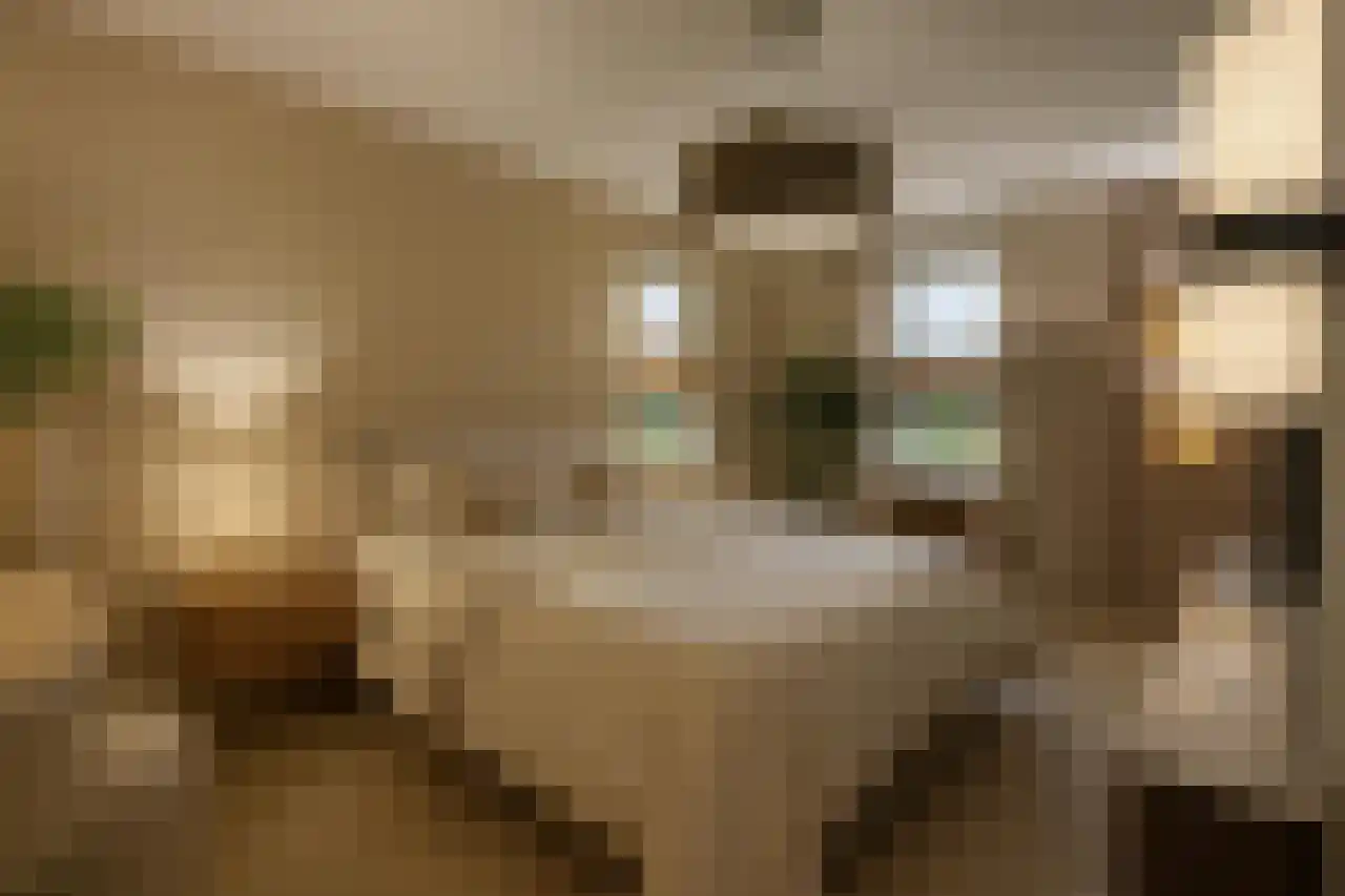 Meester Helmesstraat 2 Zeddam thumbnail 11