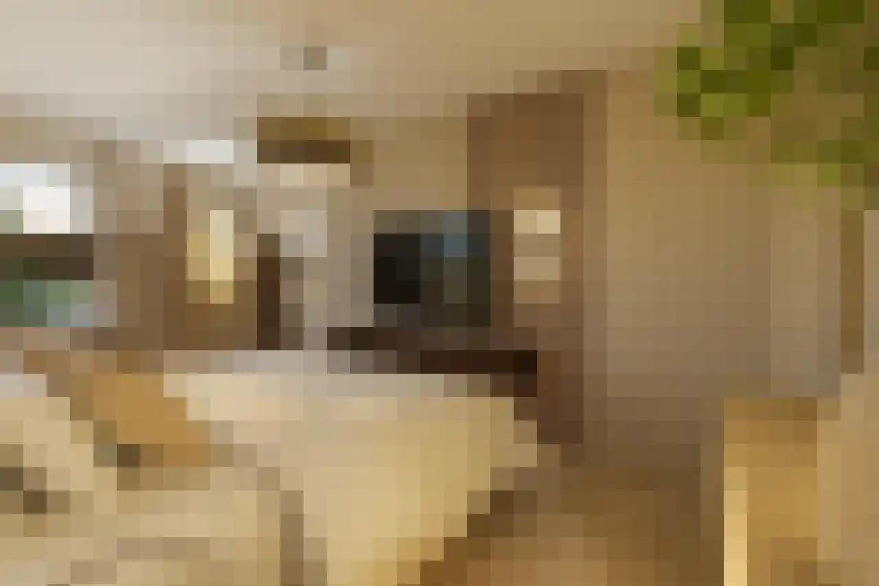 Meester Helmesstraat 2 Zeddam thumbnail 12