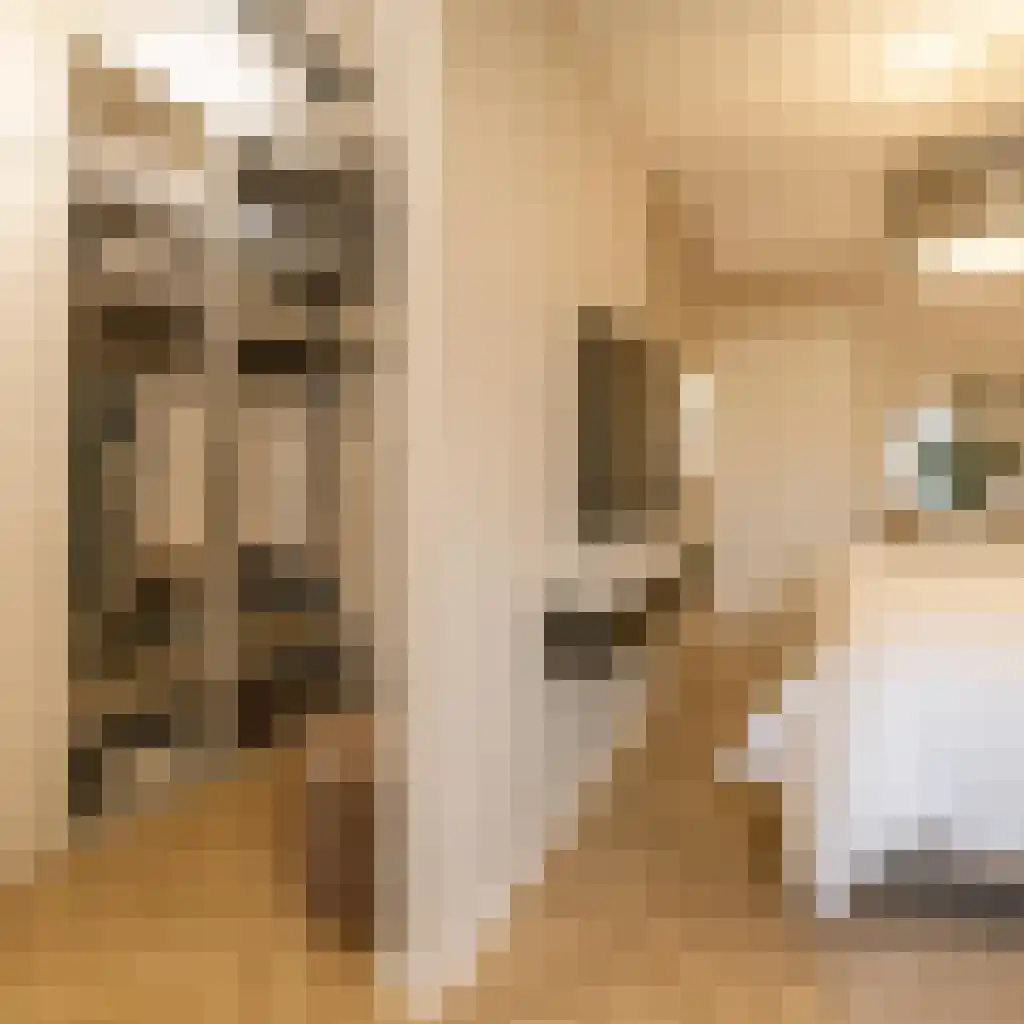 Meester Helmesstraat 2 Zeddam thumbnail 13