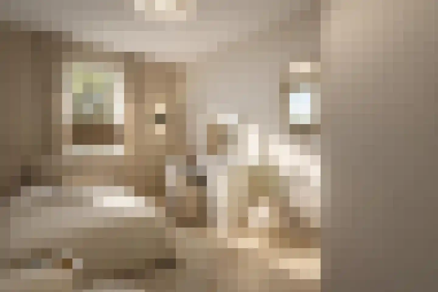 Meester Helmesstraat 2 Zeddam thumbnail 14