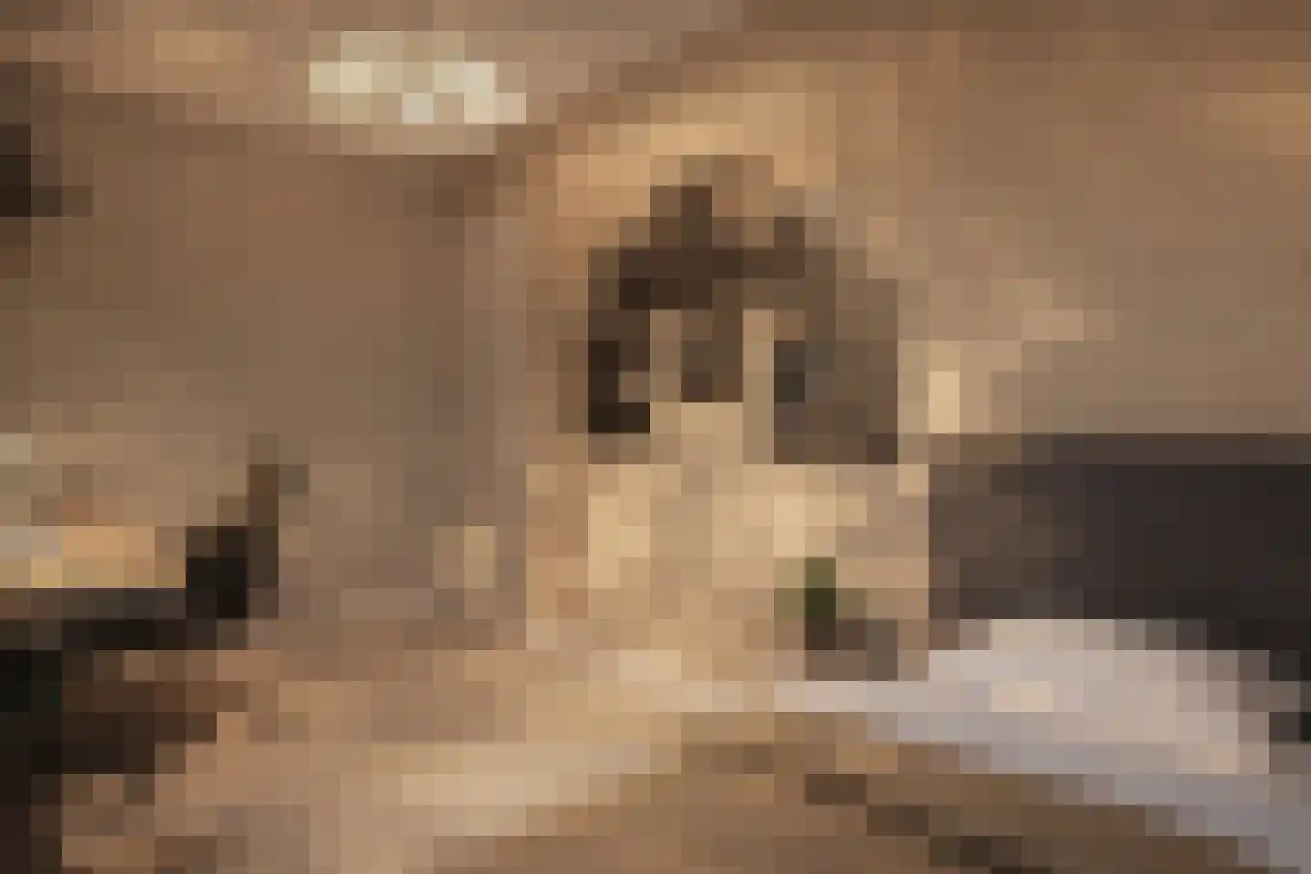 Meester Helmesstraat 2 Zeddam thumbnail 16