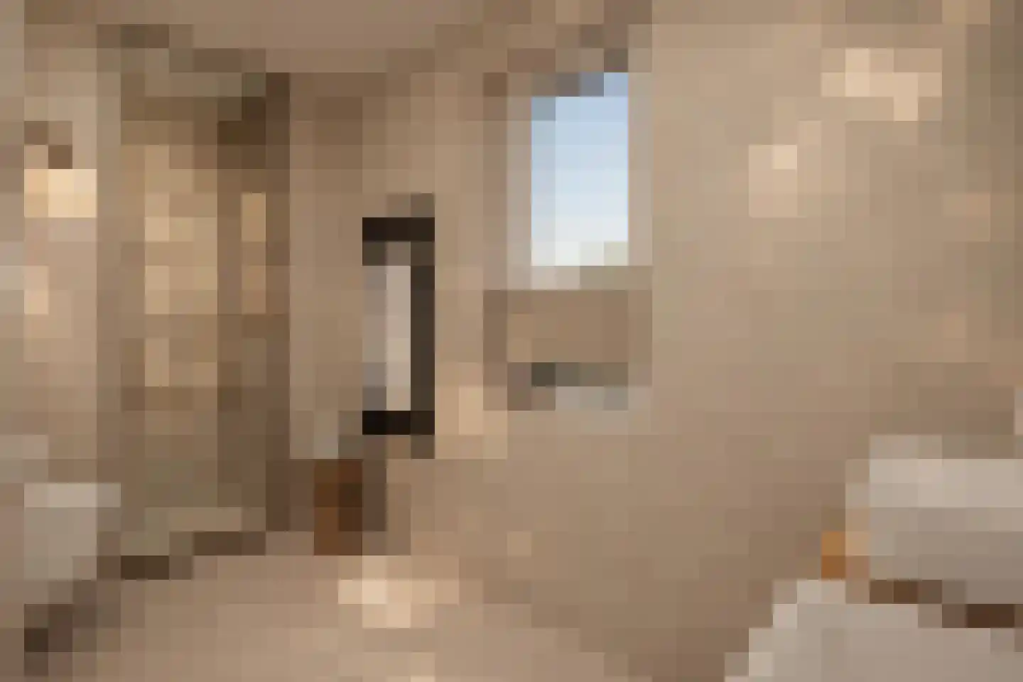 Meester Helmesstraat 2 Zeddam thumbnail 17