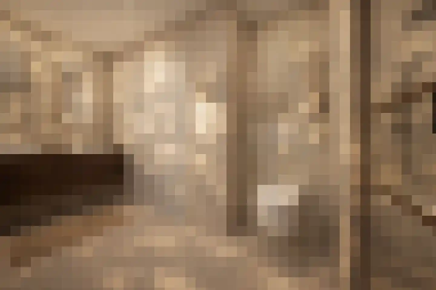 Meester Helmesstraat 2 Zeddam thumbnail 20