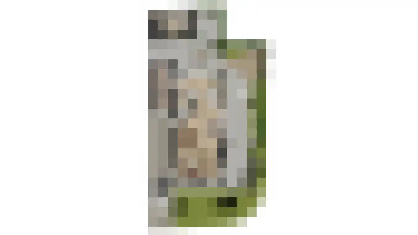Meester Helmesstraat 2 Zeddam thumbnail 22