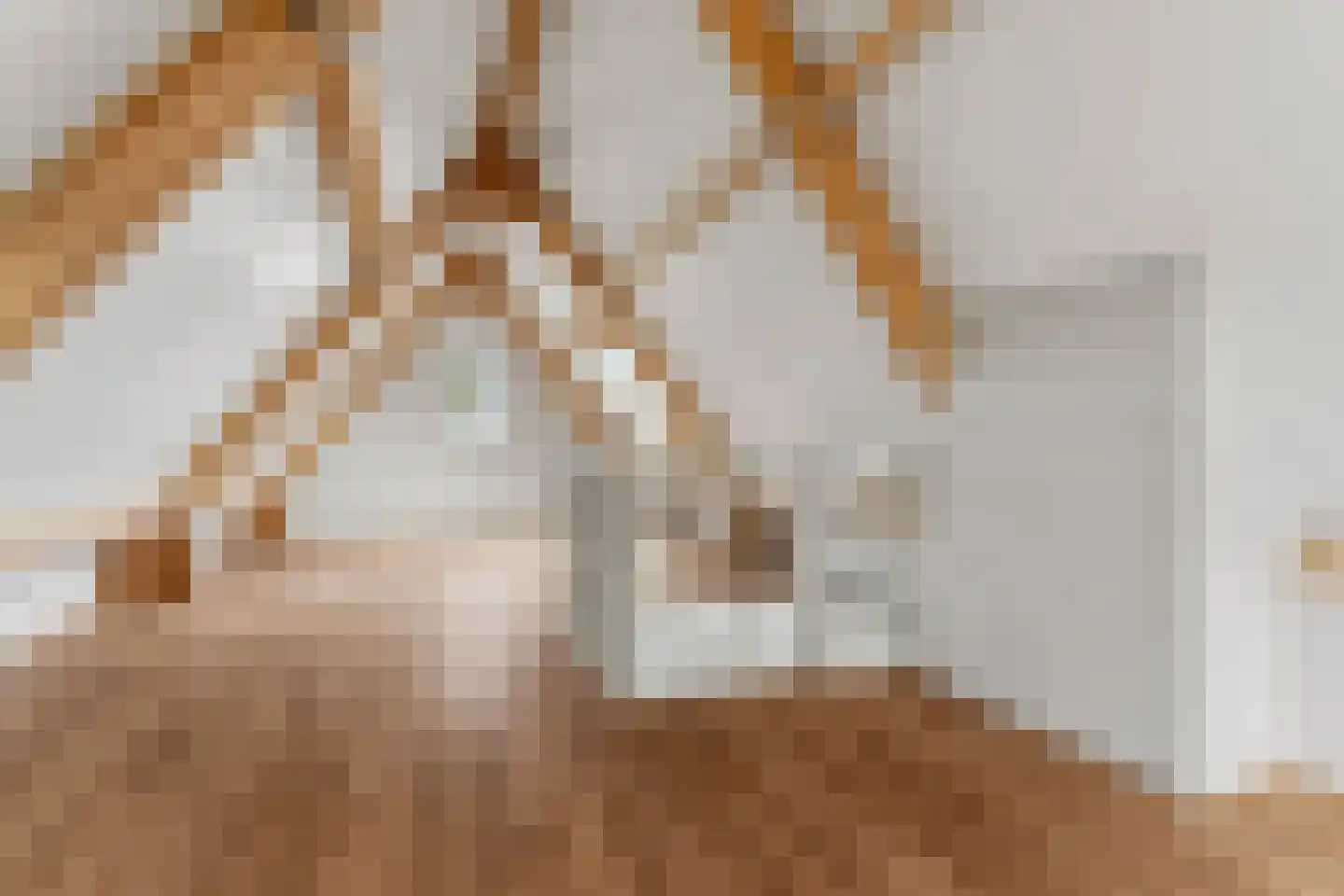 Meester Helmesstraat 2 Zeddam thumbnail 38