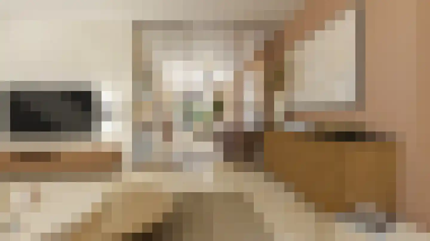 Meester Helmesstraat 2 Zeddam thumbnail 4